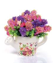 Vibrant Bloom