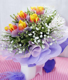 Tulip Greetings