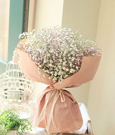Birthday Flowers: My Baby Breath