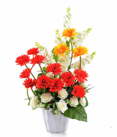 Flower Blossom