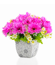 Vibrant Spring