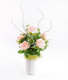 Champagne Roses
