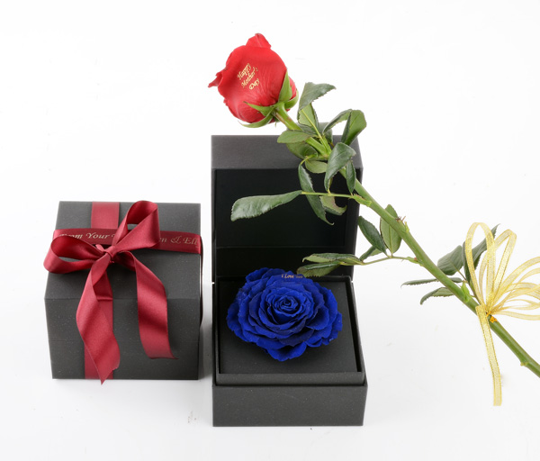 Happy Mother's Day