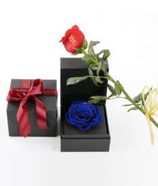 Happy Mother's Day