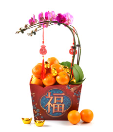 9120-Mini Orchids+18 Mandarin Oranges