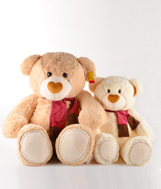 ADD ON ONLY-Big Teddy Bear