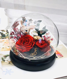 Preserved flower-Love You Dearly-Red