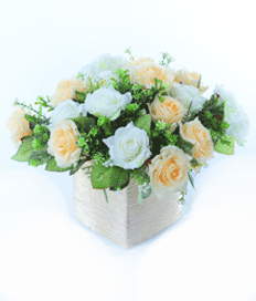 Just Roses