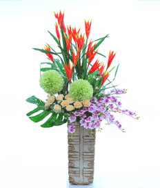 Heli-Orchid