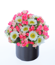Flowery Delight
