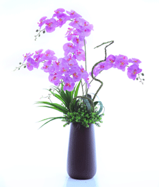 Eternal Purple
