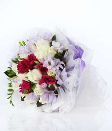 Lilac Love