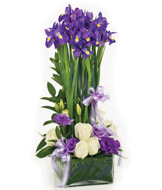 Happy Birthday Flowers: Soaring Blooms