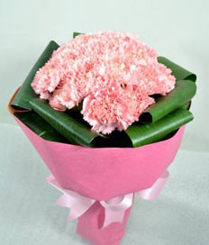 Pink Elegance