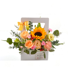 Sunshine box