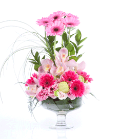Birthday Flower: Pink Joy
