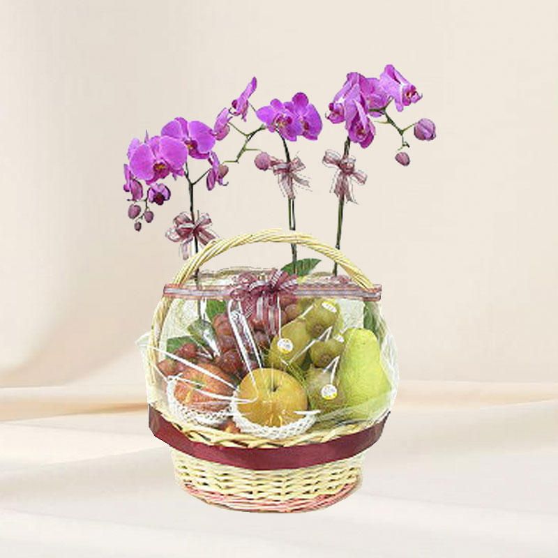 Fruity Surprise