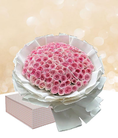 The Blush Haven