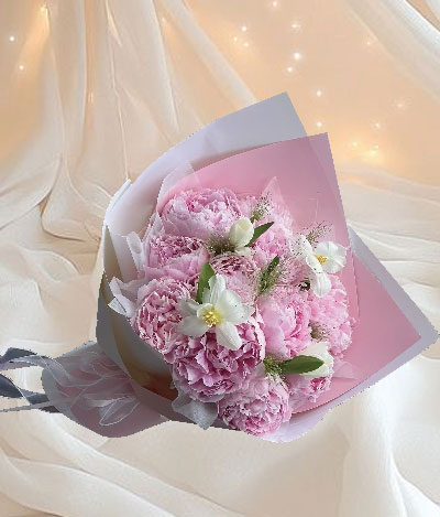 Pretty Peony